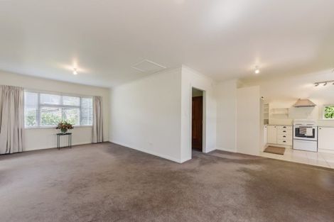 Photo of property in 5 Wolfe Street, Washington Valley, Nelson, 7010