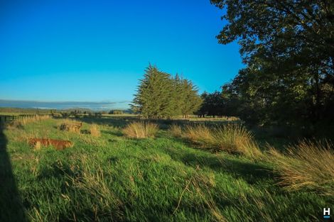 Photo of property in 829 Nelson Creek Road, Hochstetter, Dobson, 7872