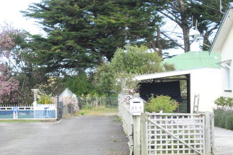 Photo of property in 41a Swiss Avenue, Gonville, Whanganui, 4501