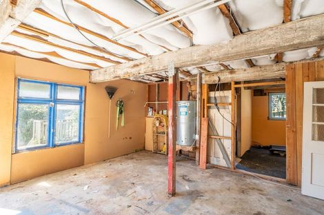 Photo of property in 17 Sidey Street, Calton Hill, Dunedin, 9012