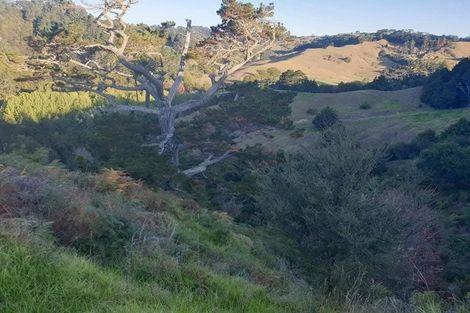 Photo of property in 80 Tunnel Road, Puhoi, Warkworth, 0994
