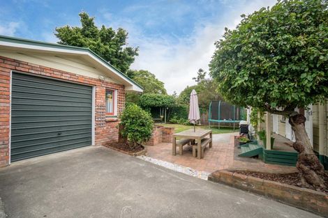 Photo of property in 46 Lombard Street, Palmerston North, 4410