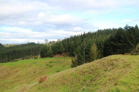 Photo of property in 124 Kellyville Road, Mercer, 2474