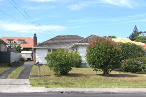 Photo of property in 14 Rogan Street, Mount Roskill, Auckland, 1041