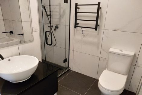 Photo of property in 501/8 Kingsland Terrace, Kingsland, Auckland, 1021