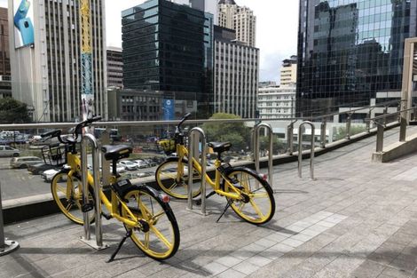 Photo of property in 120 Albert Street, Gladstone, Invercargill, 9810