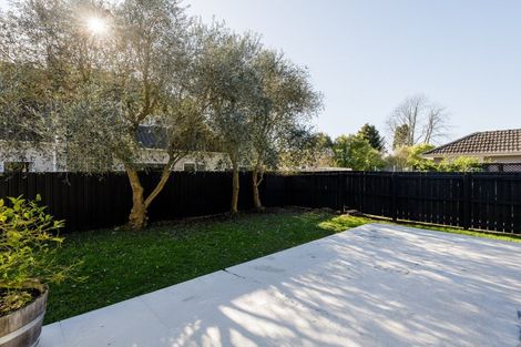 Photo of property in 77 Clarkin Road, Fairfield, Hamilton, 3214