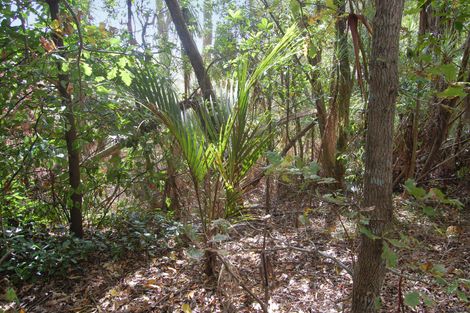 Photo of property in 914 Whakapirau Road, Whakapirau, Maungaturoto, 0583