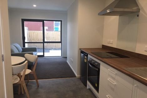 Photo of property in 5/11 Edgecumbe Street, Whitiora, Hamilton, 3200