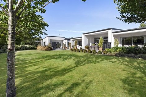 Photo of property in 19 Westwood Avenue, Greytown, 5712