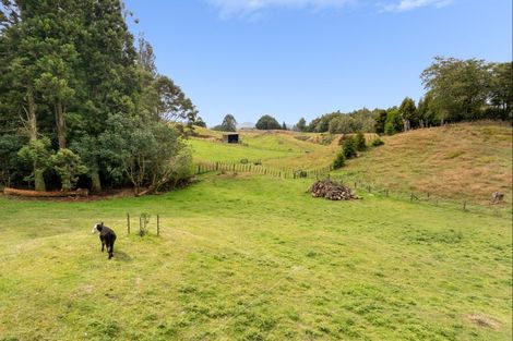 Photo of property in 98 Glue Pot Road, Oropi, Tauranga, 3173