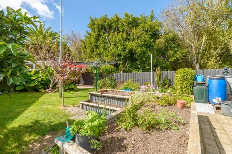 Photo of property in 2 Columba Place, Matua, Tauranga, 3110
