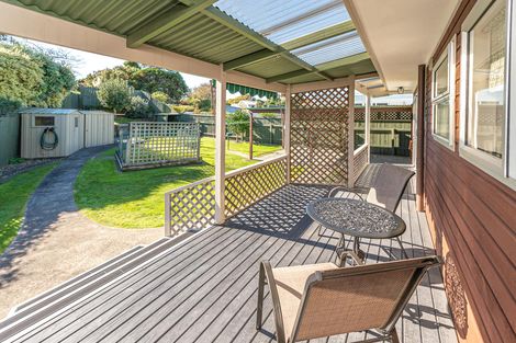 Photo of property in 94 Treadwell Street, Springvale, Whanganui, 4501