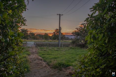 Photo of property in 829 Nelson Creek Road, Hochstetter, Dobson, 7872