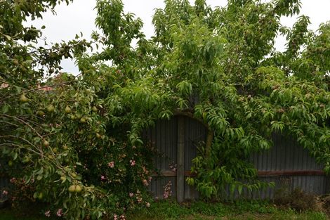 Photo of property in 76 Cambridge Street, Hampstead, Ashburton, 7700