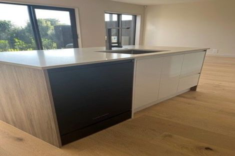 Photo of property in 16 Wikner Lane, Hobsonville, Auckland, 0616