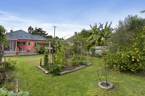 Photo of property in 160 Rosebank Road, Avondale, Auckland, 1026