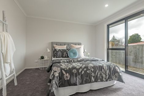 Photo of property in 11c Mcgregor Street, Milson, Palmerston North, 4414