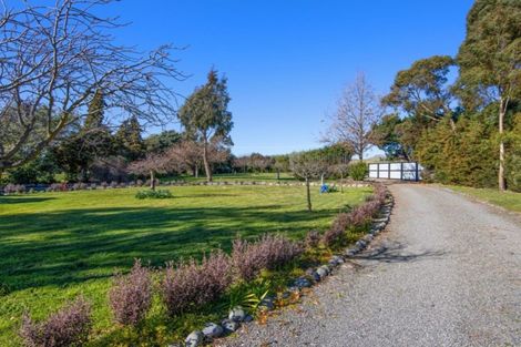 Photo of property in 712 Richmond Brook Road, Seddon, 7285