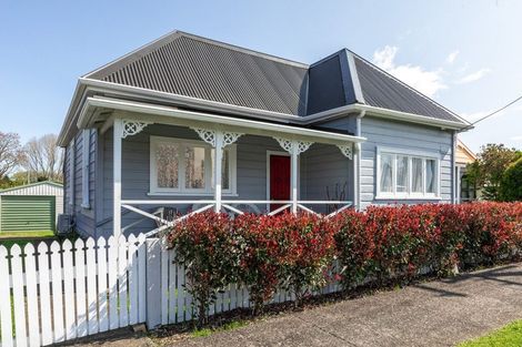 Photo of property in 45 Willoughby Street, Paeroa, 3600