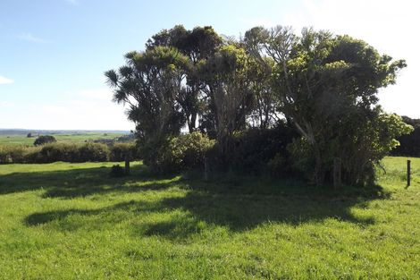 Photo of property in 669b Te Hutewai Road, Raglan, 3296