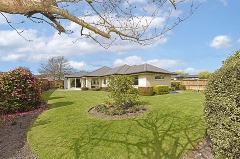Photo of property in 15 Palm Drive, Shirley, Christchurch, 8052