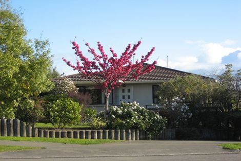 Photo of property in 14c Duart Road, Havelock North, 4130