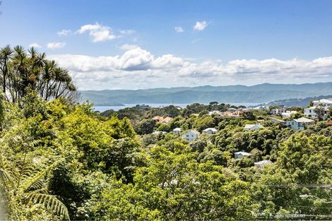 Photo of property in 17 Northland Road, Northland, Wellington, 6012