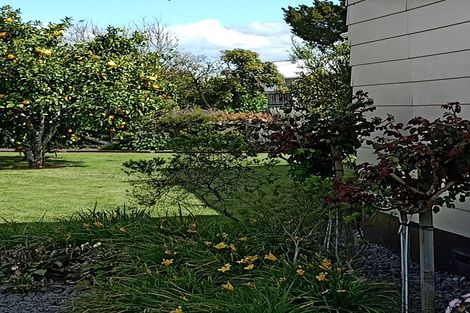 Photo of property in 12 Gummer Place, Morrinsville, 3300