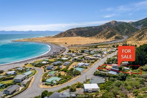 Photo of property in 44 Seaview Avenue, Cape Palliser, Pirinoa, 5772