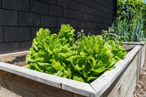 Photo of property in 1 Fetlock Way, Papamoa, 3118