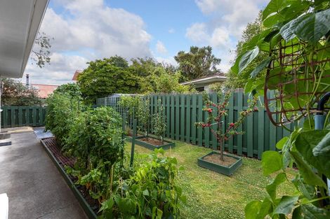 Photo of property in 4 Chamberlain Road, Masterton, 5810
