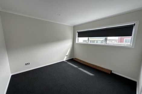 Photo of property in 65 Tennille Street, Flagstaff, Hamilton, 3210