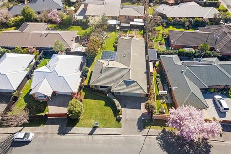 Photo of property in 238 Kingsbury Avenue, Rangiora, 7400