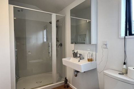 Photo of property in 103 Caledonian Road, St Albans, Christchurch, 8014