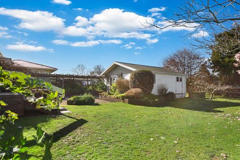 Photo of property in 480 Thames Street, Morrinsville, 3300