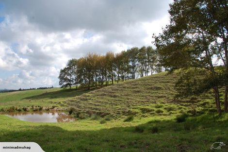 Photo of property in 229 Settlement Road, Kaiwaka, 0573