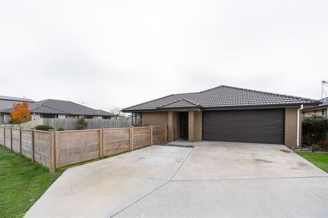 Photo of property in 7 Epping Place, Dinsdale, Hamilton, 3204