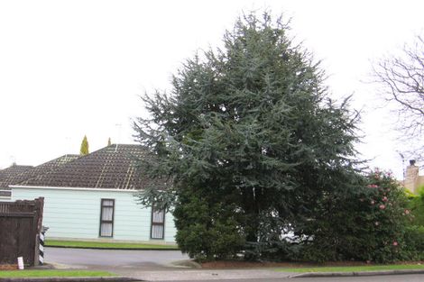 Photo of property in 16 Pahiatua Street, Hokowhitu, Palmerston North, 4410