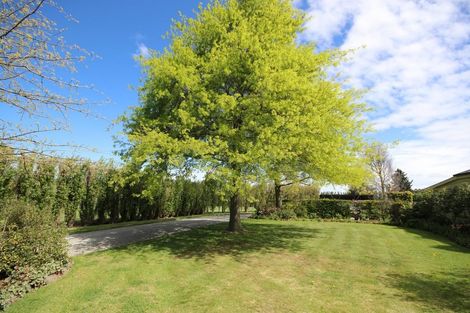 Photo of property in 66 Carters Terrace, Tinwald, Ashburton, 7700