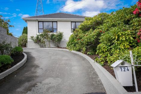 Photo of property in 124 Centennial Avenue, Helensburgh, Dunedin, 9010
