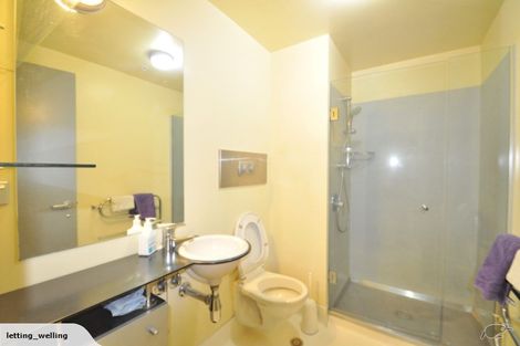 Photo of property in 43 Mulgrave Street, Thorndon, Wellington, 6011