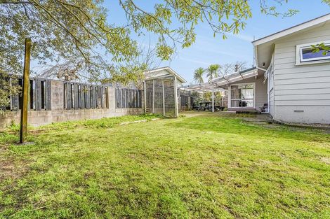 Photo of property in 5 Hazelwood Avenue, Dinsdale, Hamilton, 3204