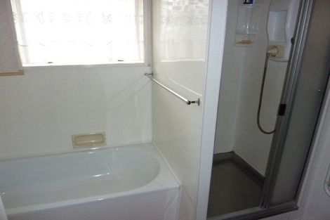 Photo of property in 176b Ruahine Street, Roslyn, Palmerston North, 4414