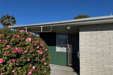 Photo of property in 3/52 Napier Road, Havelock North, 4130