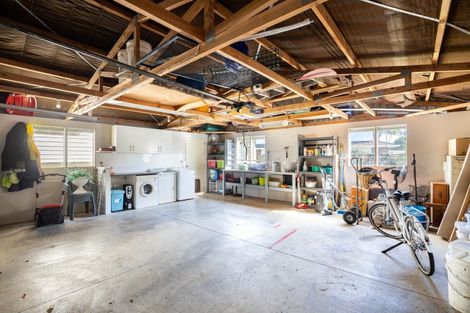 Photo of property in 117 Carrington Street, Lower Vogeltown, New Plymouth, 4310