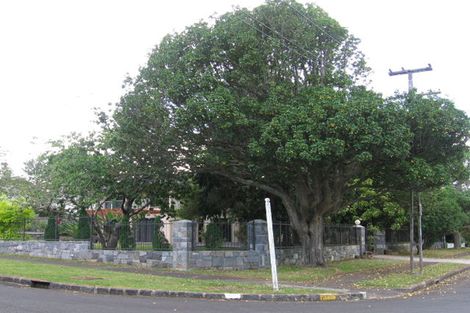 Photo of property in 17 Haydn Avenue, Royal Oak, Auckland, 1023