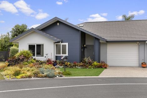 Photo of property in 21 Bridgewater Way, Pyes Pa, Tauranga, 3112