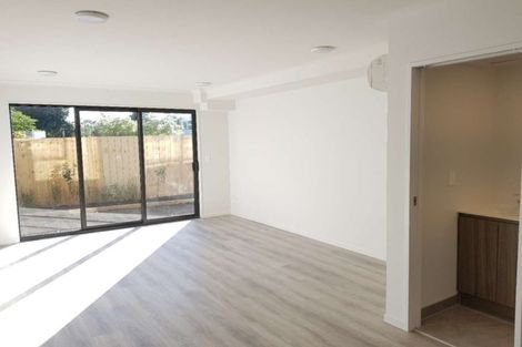 Photo of property in 23 Ti Kouka Lane, Sandringham, Auckland, 1025