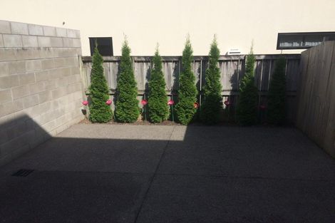 Photo of property in 1 Stadium Lane, Whitiora, Hamilton, 3200